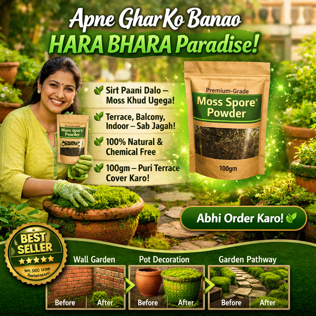 🔥Premium-Grade Moss Spore Powder🔥Buy 1 Get 1 Free🔥😍 Main image