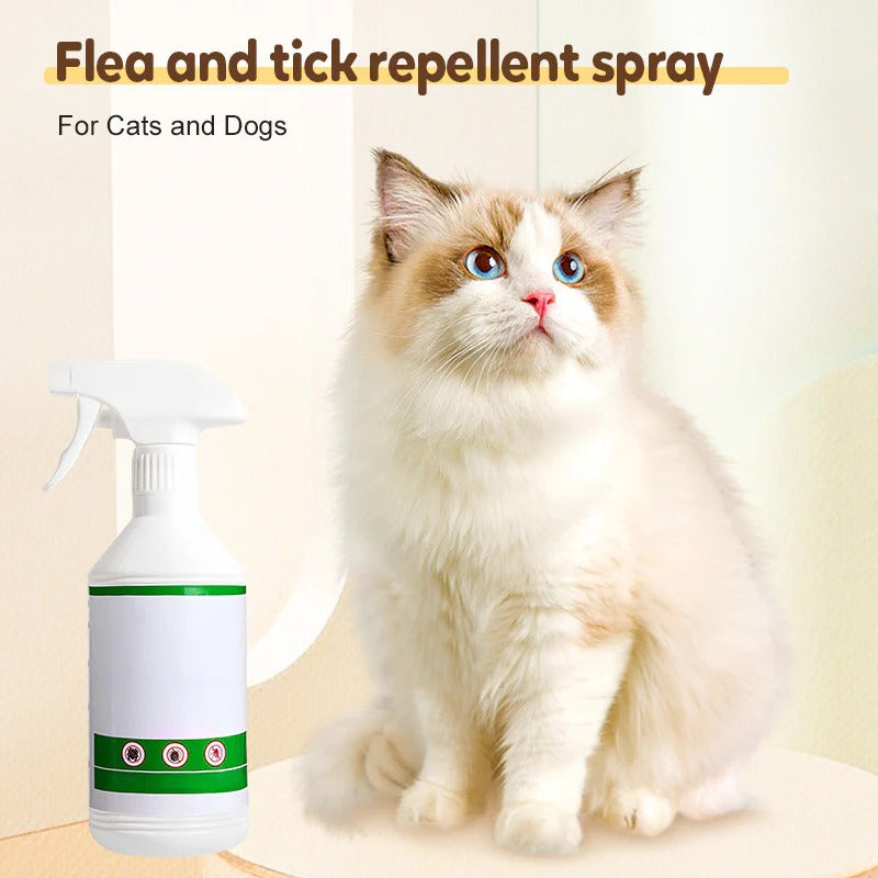 🚀🐛Buy 1 get 1 free🐱Flea and tick repellent spray for cats and dogs🐶