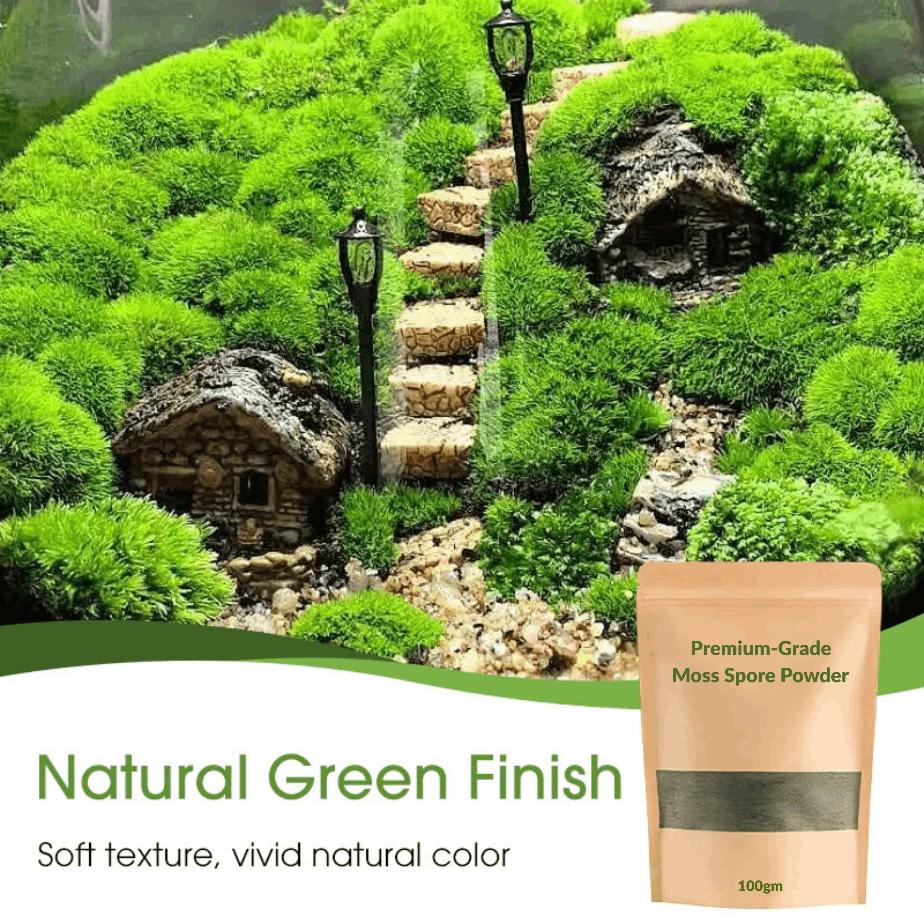 🔥Premium-Grade Moss Spore Powder🔥Buy 1 Get 1 Free🔥😍