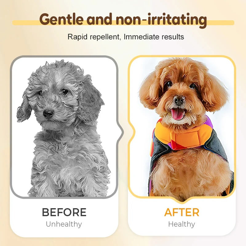 🚀🐛Buy 1 get 1 free🐱Flea and tick repellent spray for cats and dogs🐶