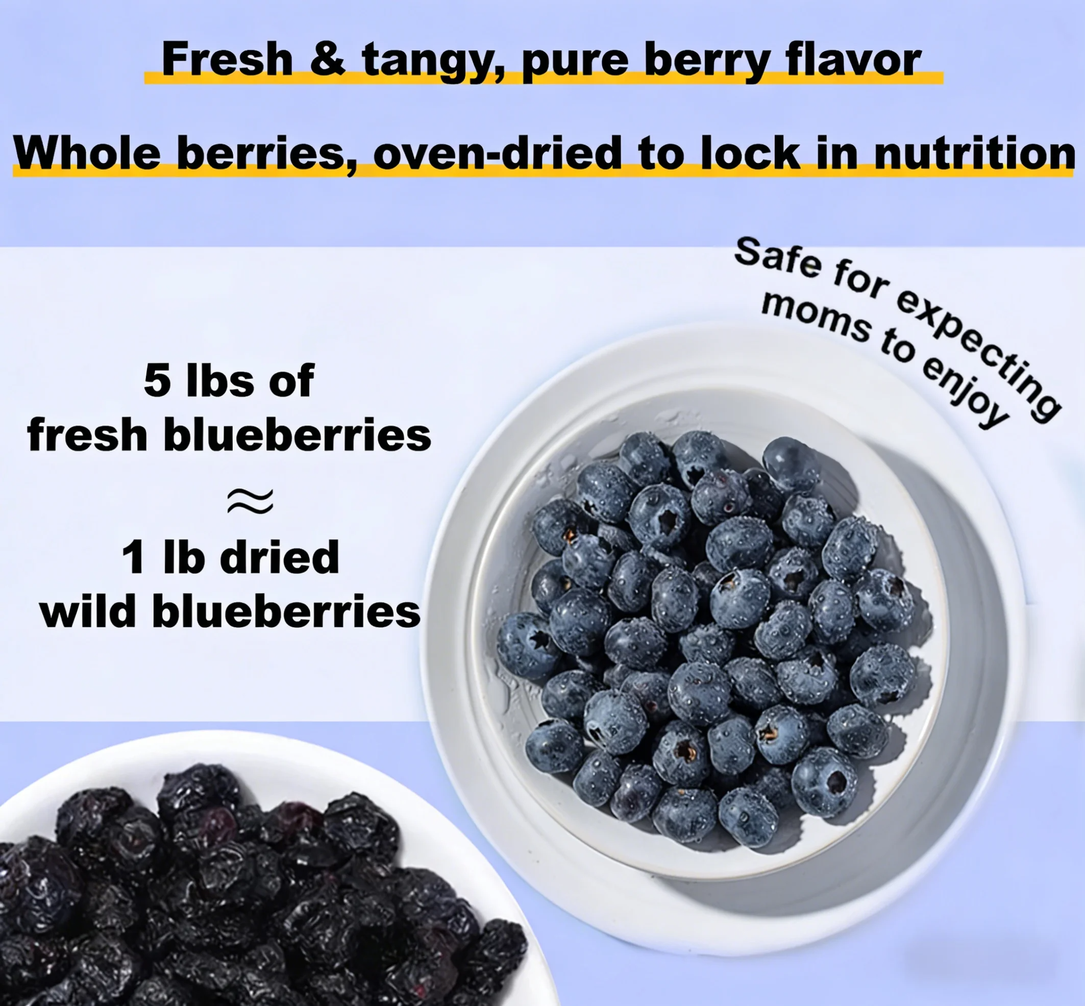 🪨[Anti-Cancer and Heart Protection] Changbai Mountain Dried Blueberries Seeds | 🔥Buy 1 Get 1 Free🔥