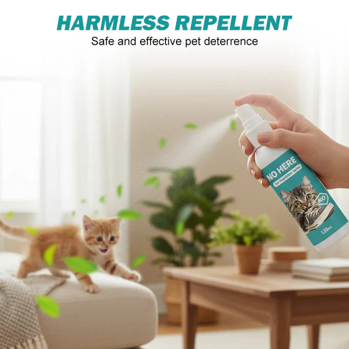 Cat Repellent Spray for Indoor Use